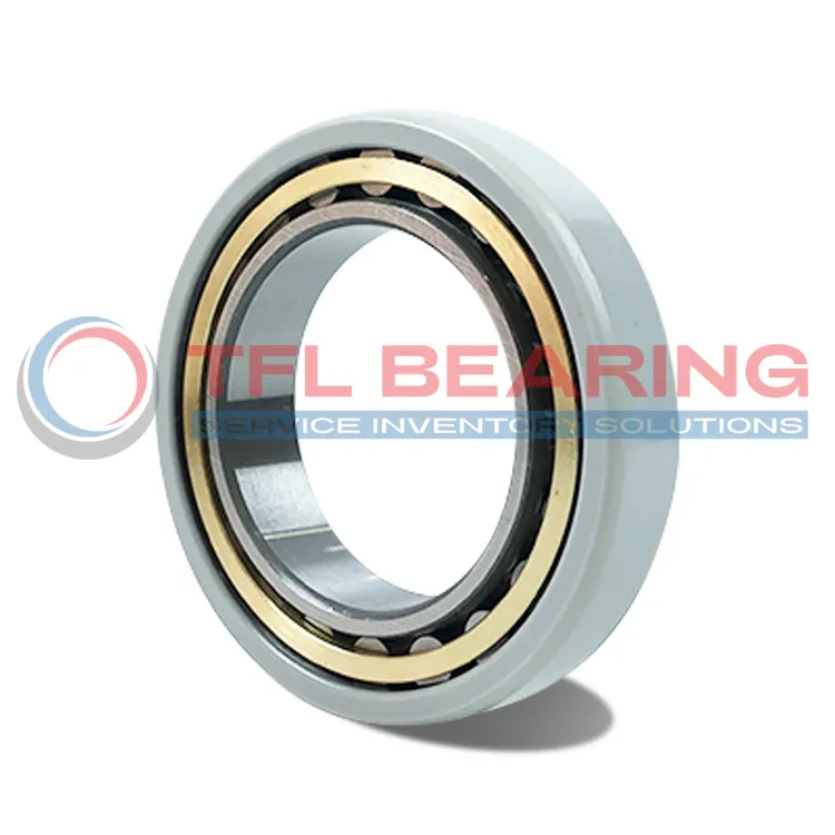FAG Current-Insulated Single Row Cylindrical Roller Bearing NU1032-XL-M1-J20AA-C3